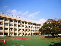 第二寺島小学校の画像1