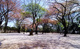 上野毛自然公園の画像
