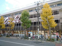 オオゼキ上町店