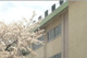 北区立　浮間中学校の画像