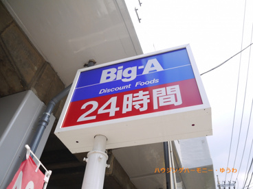 BIG-A 板橋坂下店の画像3