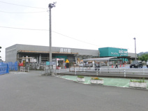 カインズホーム安中店