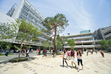成城大学