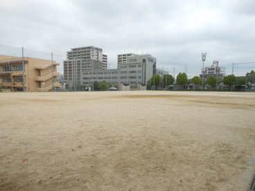 茨木市中央公園の画像1