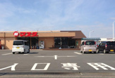マスダ三和店