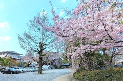 伝通院の画像1