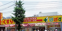 どらっぐぱぱす　王子神谷店の画像1