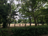 東浜公園