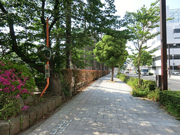 平塚市立　江陽中学校の画像1