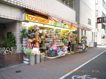 １００円ショップ　月下美人