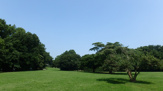 東高根森林公園