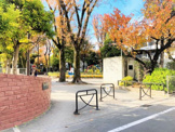 文京区立大塚窪町公園