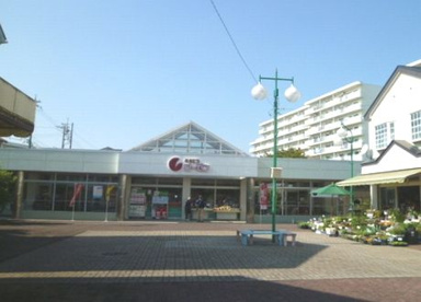 そうてつローゼン杉久保店の画像1