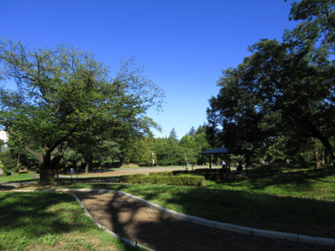 美しが丘公園の画像1