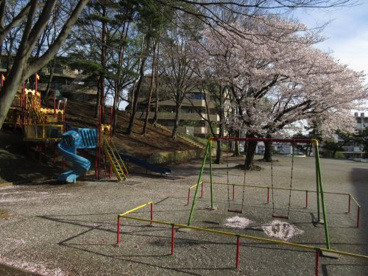 不動ヶ丘公園の画像3