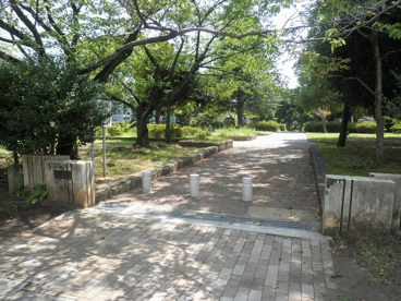 達上ヶ丘公園の画像1