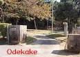 山里公園の画像1