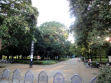 砧公園