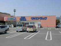 マルエドラッグ玉村福島店