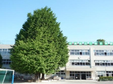 杉並区立三谷小学校