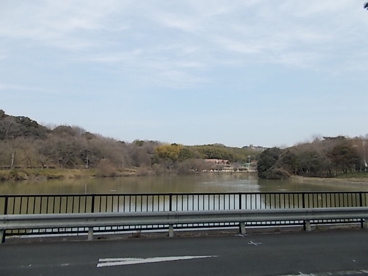 服部緑地公園の画像2