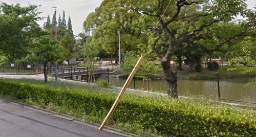 の画像