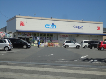 ウエルシア相模原田名店の画像1