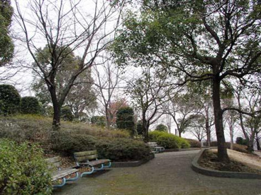 鳶尾中央公園の画像1