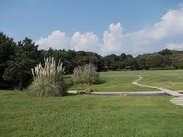 稲毛海浜公園の画像1
