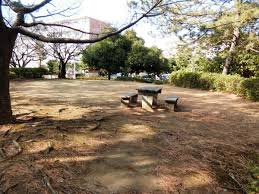 南高浜公園の画像1