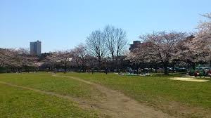 稲毛東公園の画像1