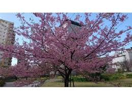 都公園の画像1