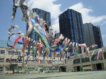 品川区立三木小学校