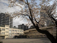 品川区立城南第二小学校