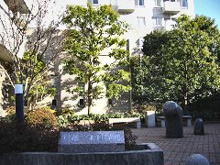 戸越一丁目緑地