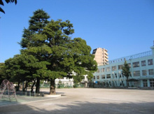品川区立大井第一小学校