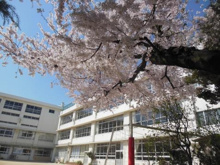 目黒区立宮前小学校