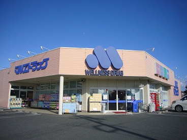 マルエドラッグ韮塚店の画像1