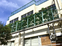 品川区立上神明小学校