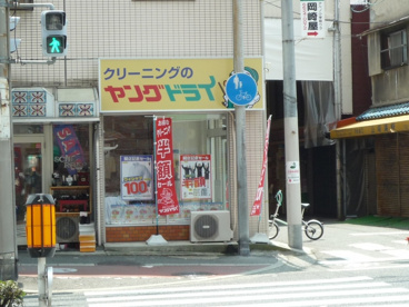ヤングドライの画像1