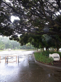 加曽利貝塚公園の画像1