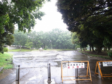 加曽利貝塚公園の画像4