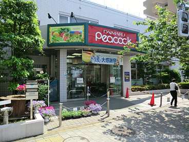 大丸ピーコック桜新町店の画像1
