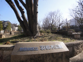 羽根木公園