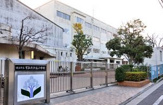 横浜市立 すみれが丘小学校