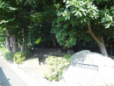 上野毛自然公園