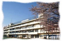 港区立 青南小学校