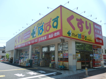 どらっぐぱぱす赤塚新町店の画像1