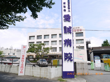 公益社団法人 愛世会 愛誠病院の画像1