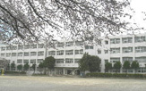大和市立 緑野小学校